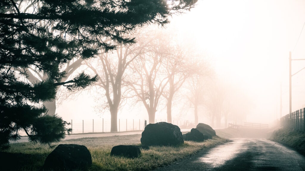 kevser-home-tradition